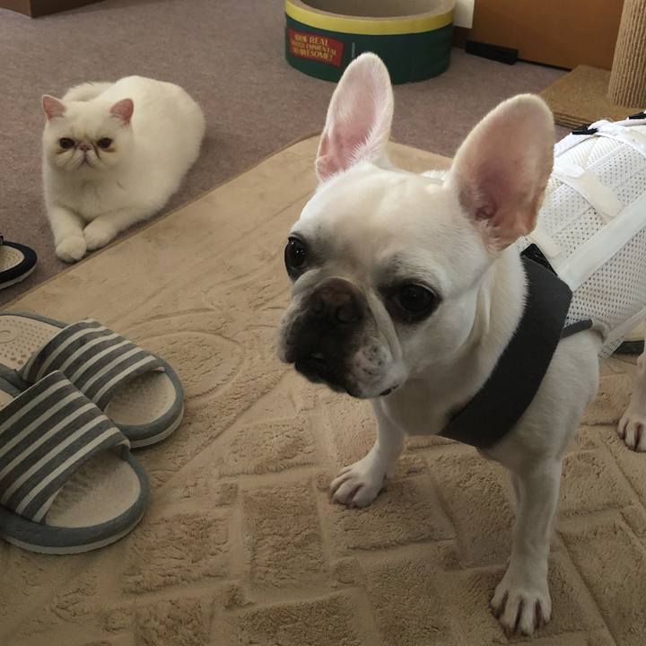 E1761aa1 c6fa 4770 8081 e41e2b86f801 1571721977945