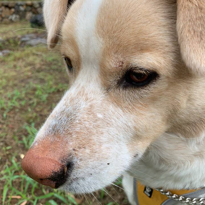 E17642d6 3458 4944 ac46 526d01ad1336 1560137506684