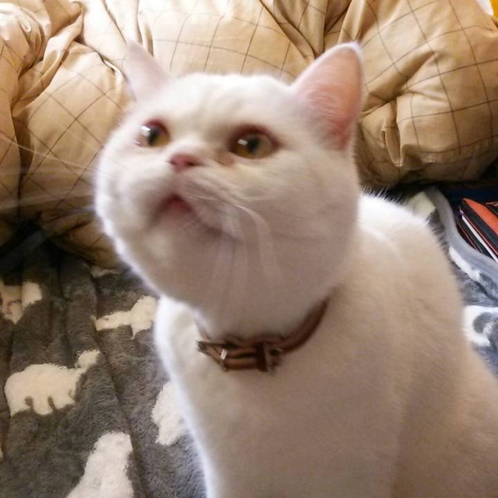 E17688b4 43fe 412b ac8e ca1a45bc4c2c 1516144321964