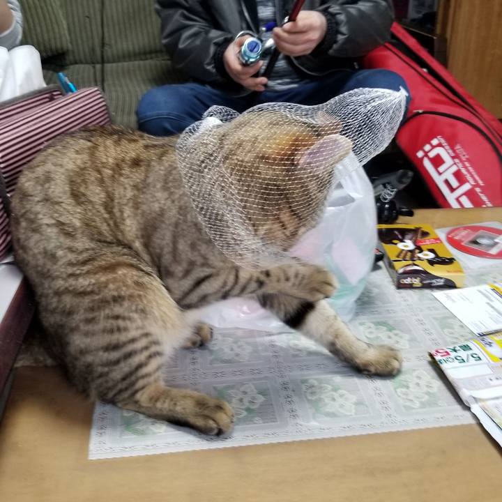 E176b9a2 c291 4f06 9741 be2e87746eda 1651556817060