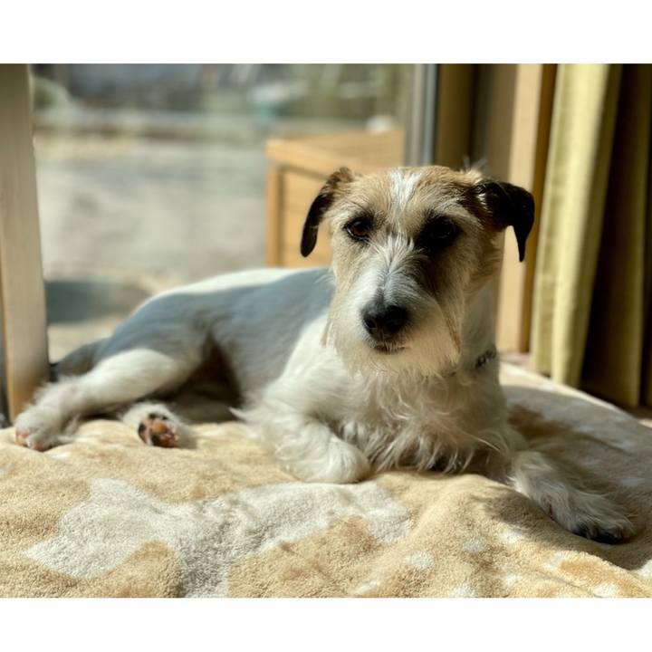 E1770528 b7bc 4402 96bb 6274233e2f5e 1678326979301