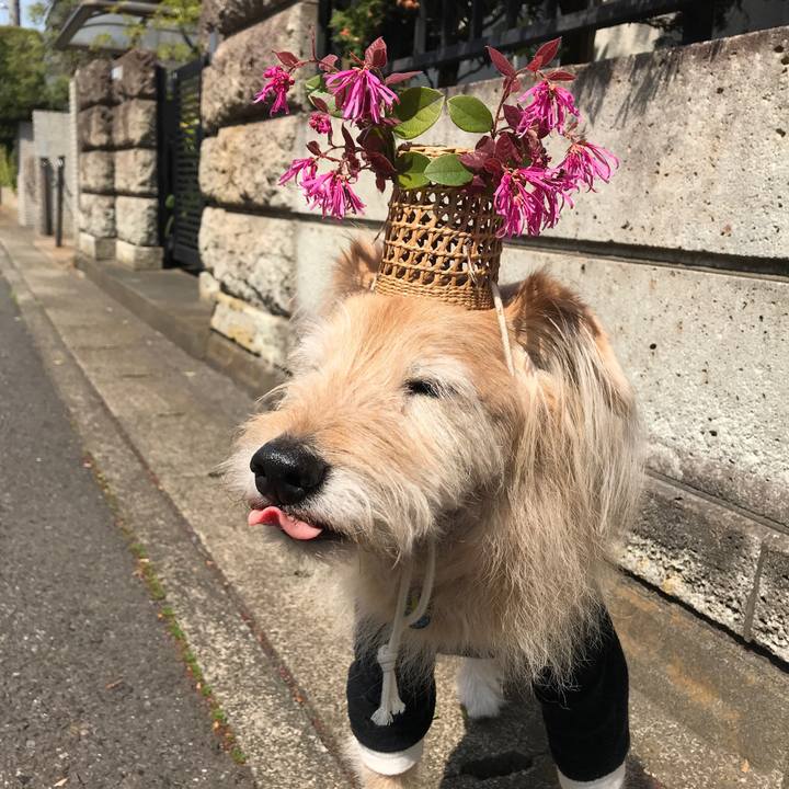 E1771d38 ac06 4df8 9df8 b8f5491fd2f7 1616816455671