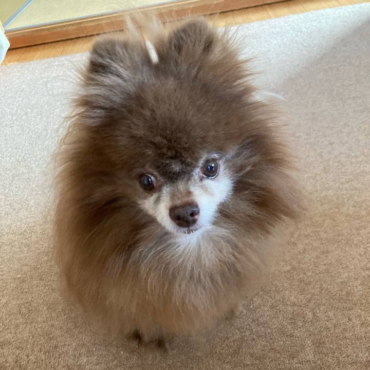 E1773059 a51d 411d bcb8 8311b876e8af 1725659142768