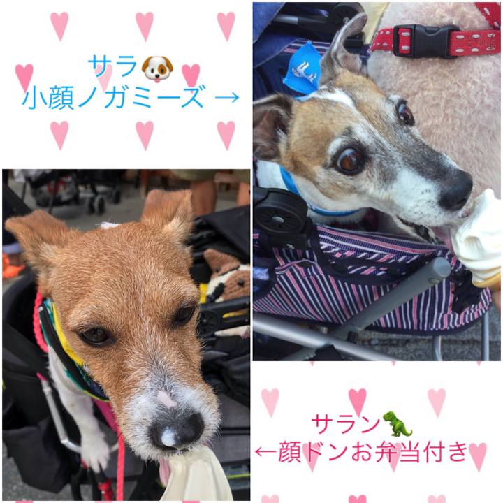 E1773dfe 16bd 4ca5 9d13 222017413445 1567833761701