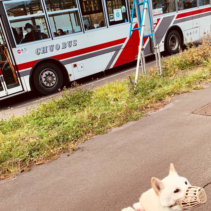 E1774551 3837 4346 bffa 9dcbe6f0654a 1573087359702