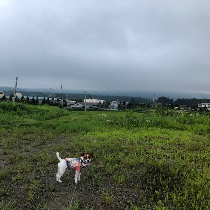 E177619a f9a2 4d27 a21b 8503b796d61b 1597489853507