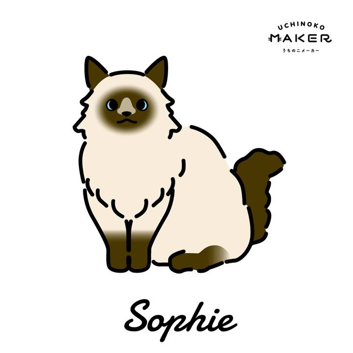 E1777b67 6b1f 46c2 8760 ace2d26043c9 1659699955085