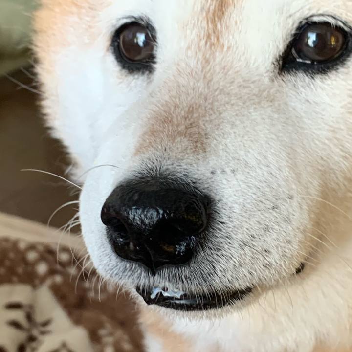 E1779142 6ad7 4fc4 880e 12ee7cac7fa5 1582294689396