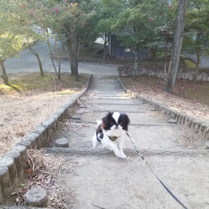 E17798e9 2ce6 4d58 a159 caf216938852 1640770524090