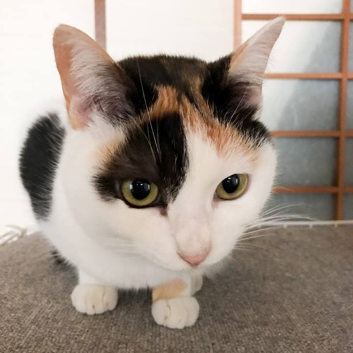 E1779d6e 2f4f 448a b1d7 8e0da7787dd5 1517410279046