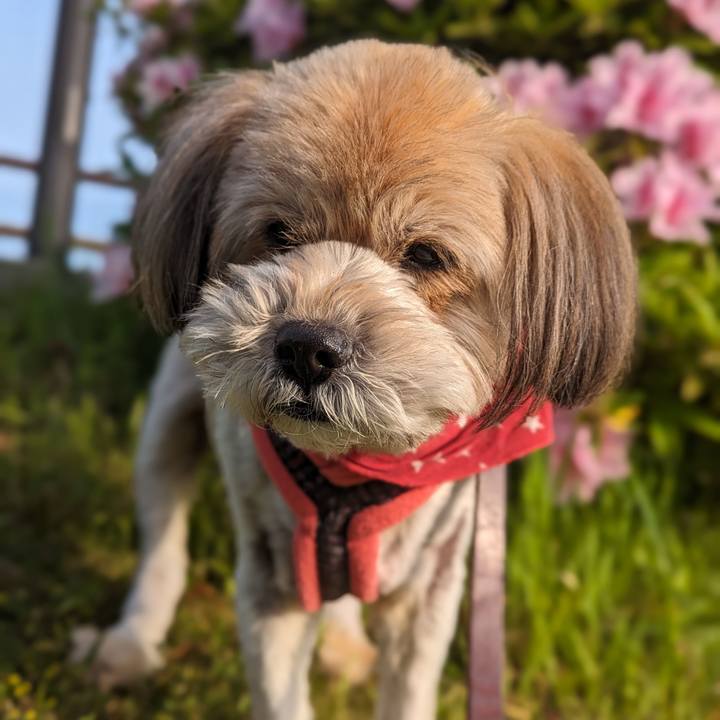 E177e00e a746 42d1 a9b6 ea28d529b036 1713308279031