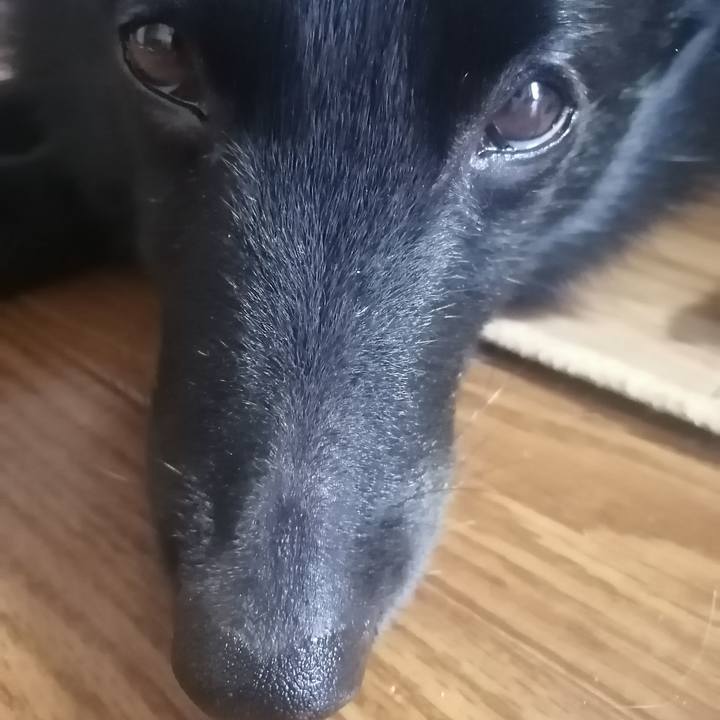 E1781367 9750 4263 aec7 ac014cb5aa5d 1622672768850