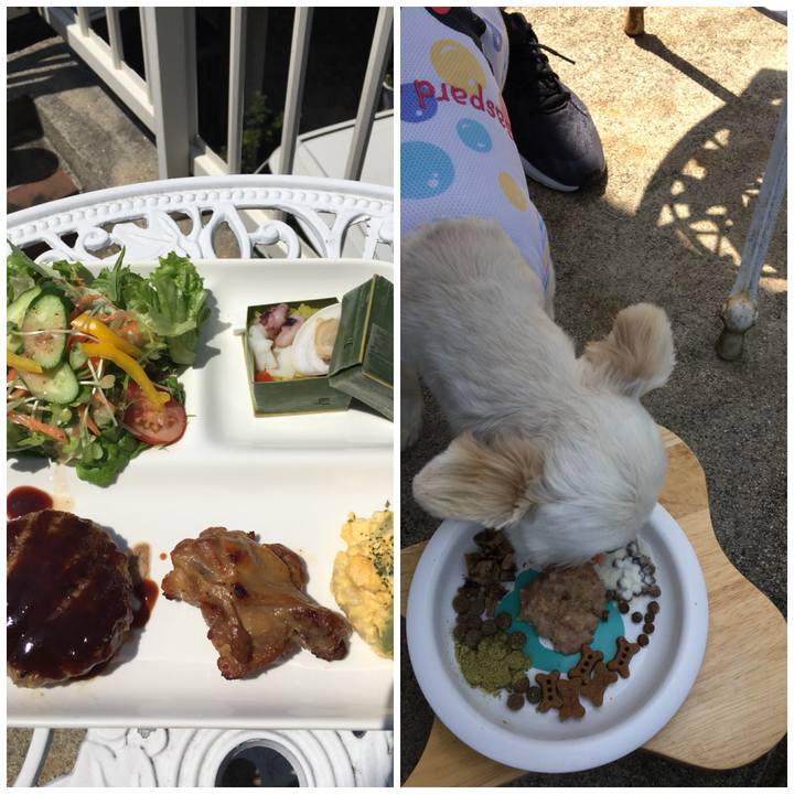 E17838d0 3afd 4df4 9fb8 ed82441b1232 1524973700518