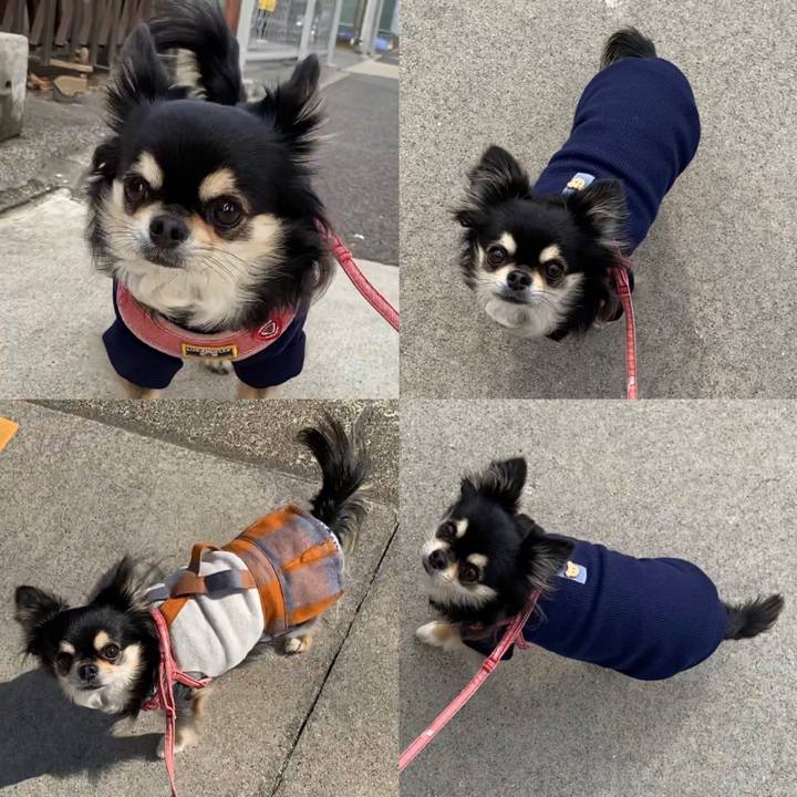 E178504b 022f 48e8 8bda 3b2734feb572 1644971791475