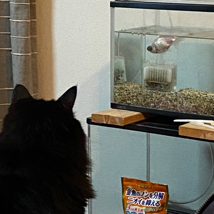 E17899b3 0315 41fc a908 a6271bedc092 1598107013804