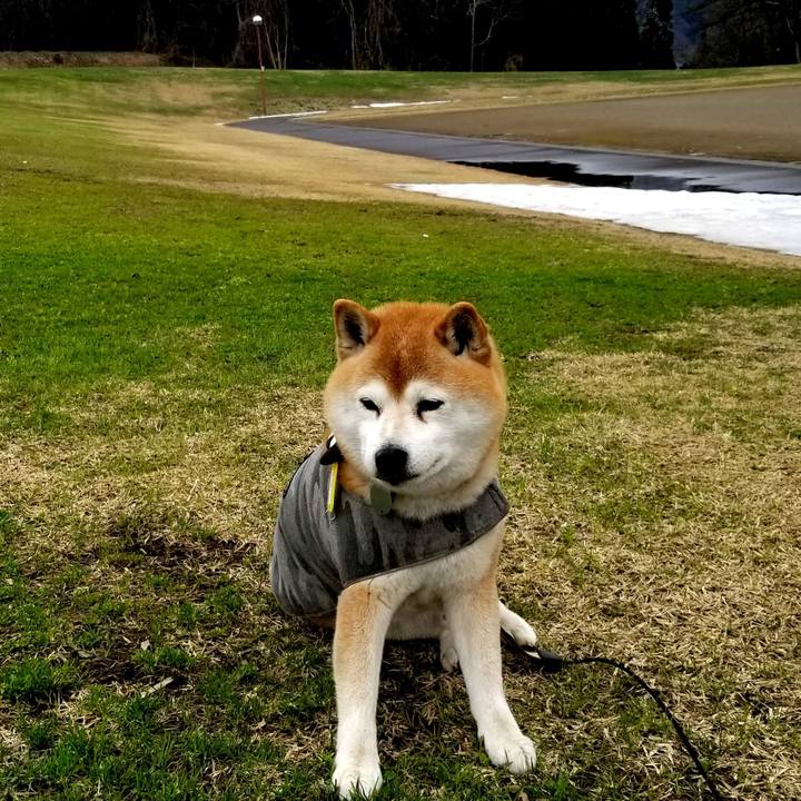 E178d58e b332 4377 9357 9b8b8438f4d0 1649994279074