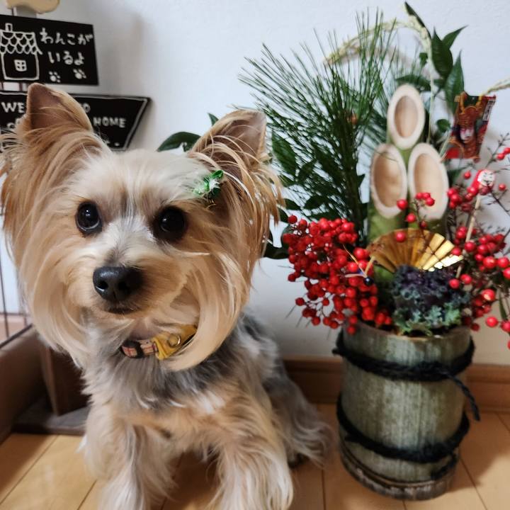 E178e5a8 b8d6 4e63 a0fa 48c632a2eeca 1702772235077