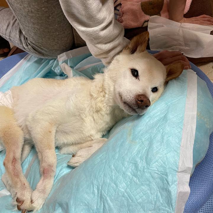 E1790e4b 086c 4ede 8493 23f9821a32e6 1679636090943