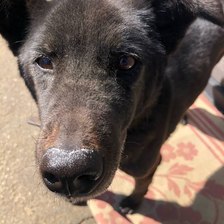 E1791e32 0ed9 491f a30f f5a1d1a191fd 1613703871268