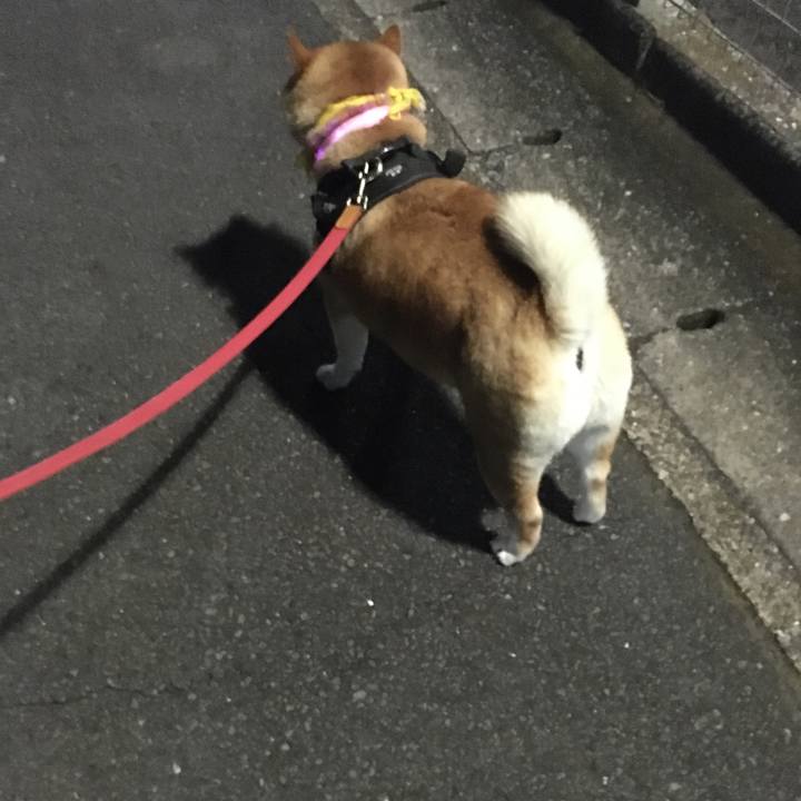 E179728e 9bb6 4a19 804d 410741c6995c 1597490988513