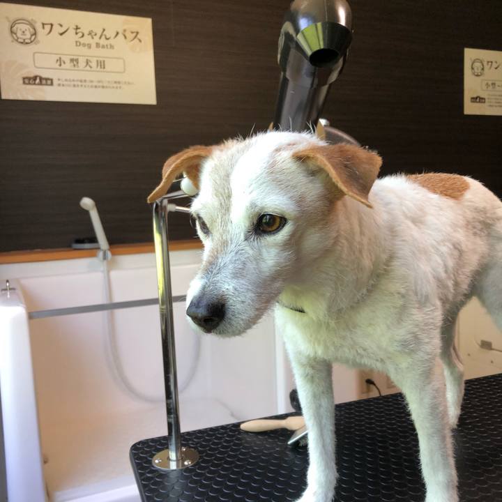 E179745f 1b53 41e9 9293 4b925fbbcc75 1525177381118