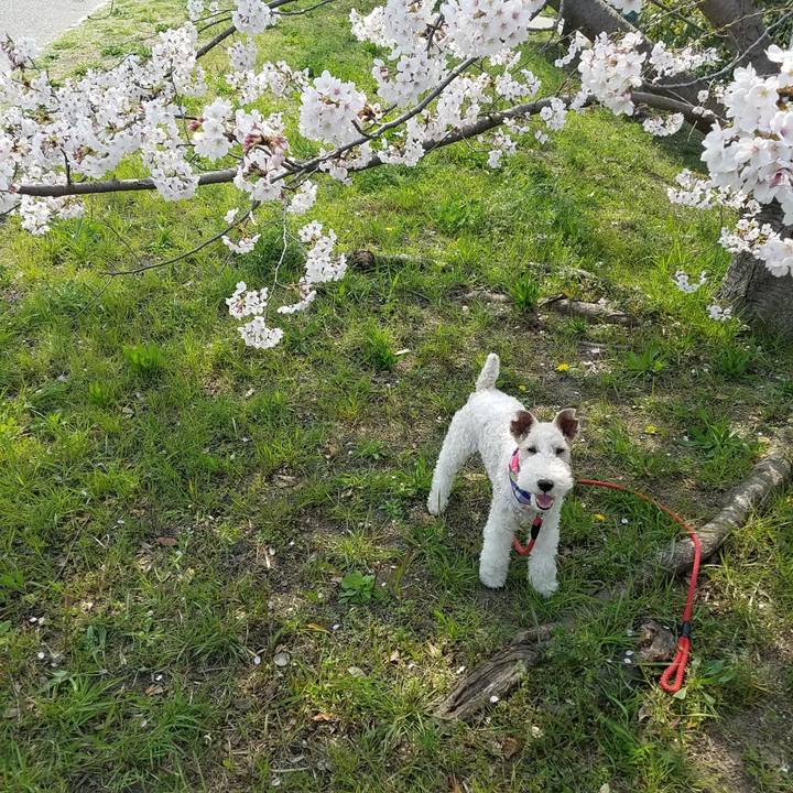 E179cb31 05c4 460a bc45 d8b4239a2a9e 1554621239564