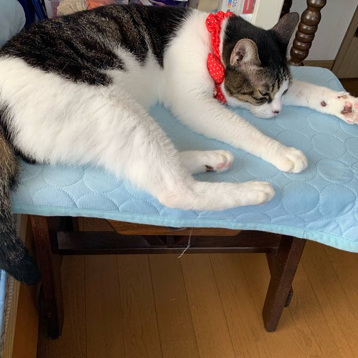 E179f200 261b 4fc1 86d8 33403293f4d5 1597384298468