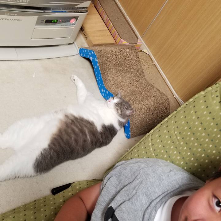 E17a1716 9d49 4cf0 b86f 81ecf5ebcc10 1593439573675