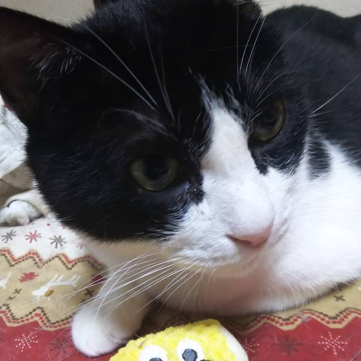 E17a24fd fc8e 42ad b2de 8fec0ed87551 1568151945312