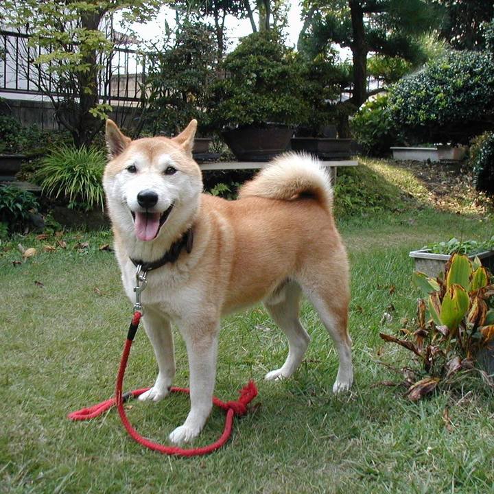 E17a5ea2 b32d 41a4 80e5 cea5ddcbce17 1759073329283