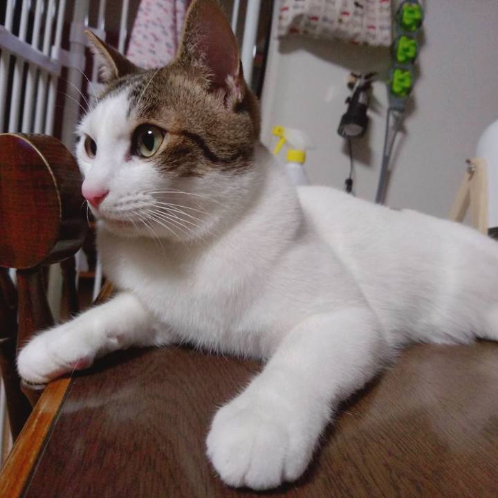 E17aa822 f66f 464e 8a07 de5d33943478 1669719176304