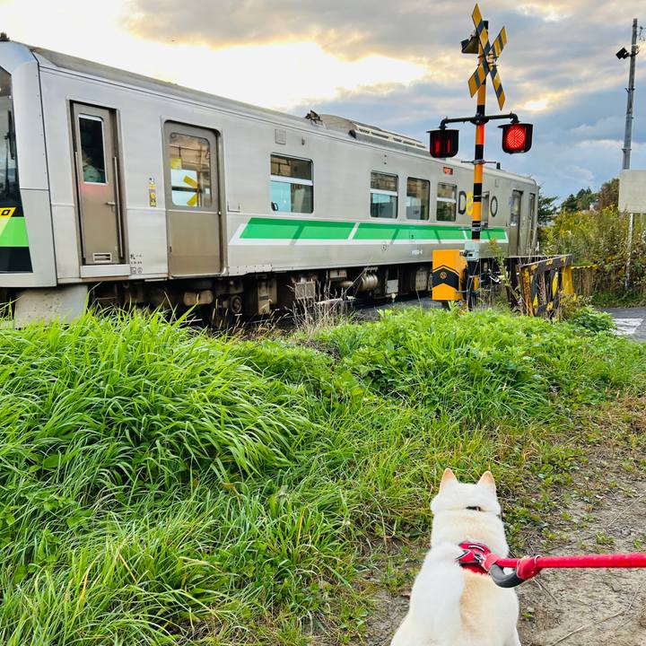 E17abe0c 1d5d 46d5 adda 4e7c70e5c587 1759876582941