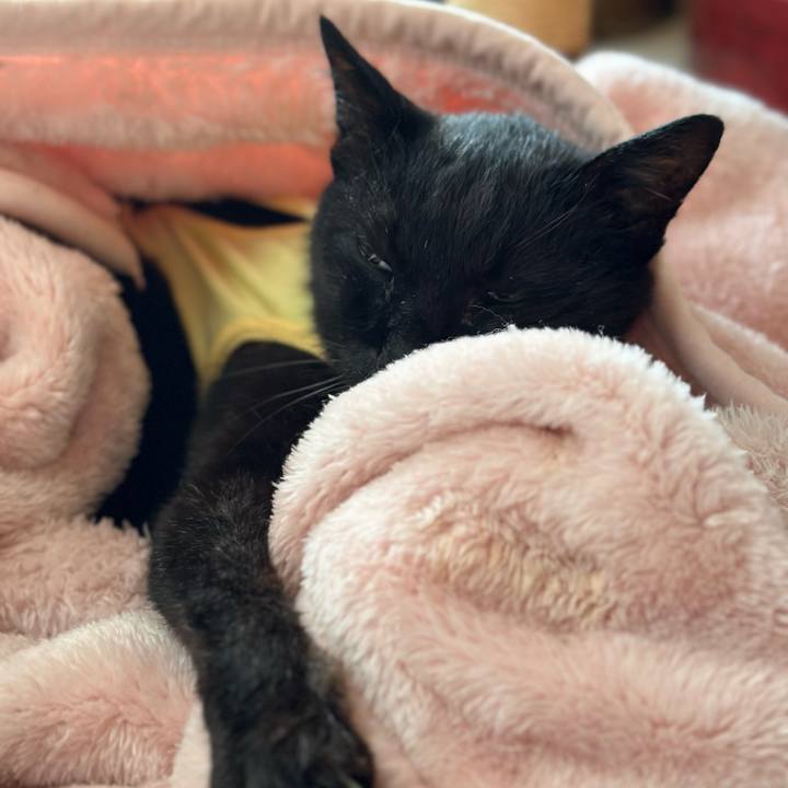 E17abe32 701d 440b 833c c8d0b0949949 1718329742515