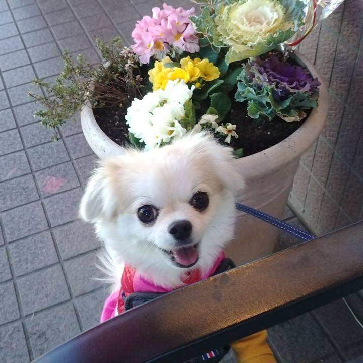 E17aca4f 461d 4578 b99d 22672897cceb 1704545928640