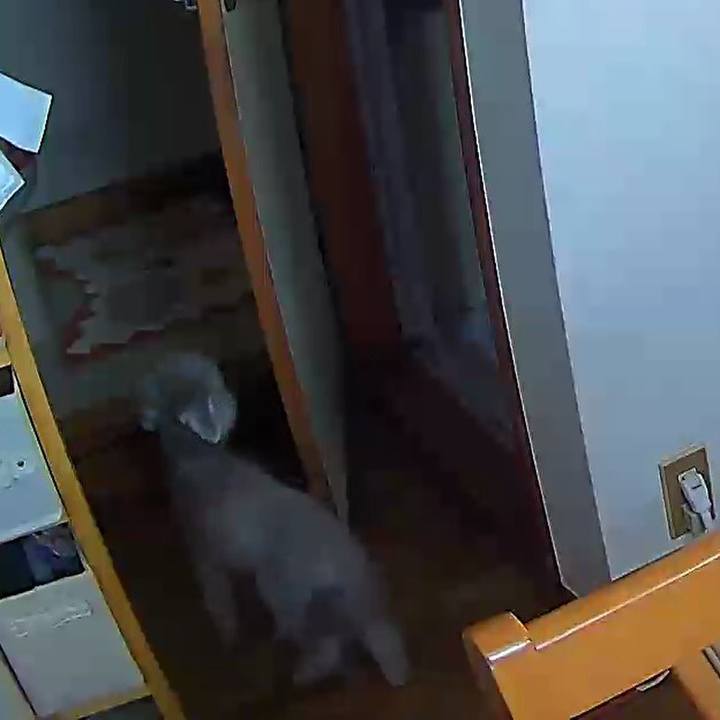 E17acb83 05e5 44f5 a8f0 4804dbd4435d 1618702432136