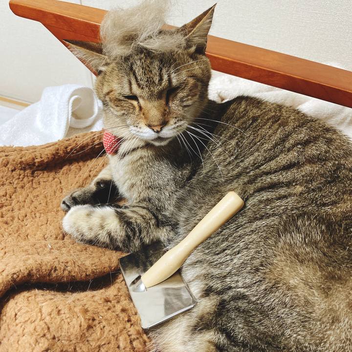 E17acd3b 6af5 44ad 8c2b ad29460a88d1 1590801485369