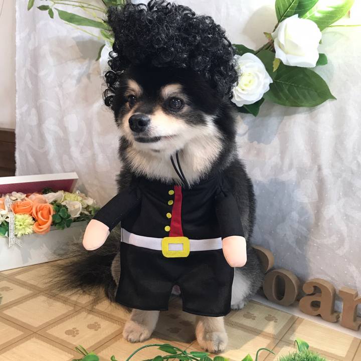 E17ad442 d75d 445a 8e9f 7adbec52bc3c 1586572129766