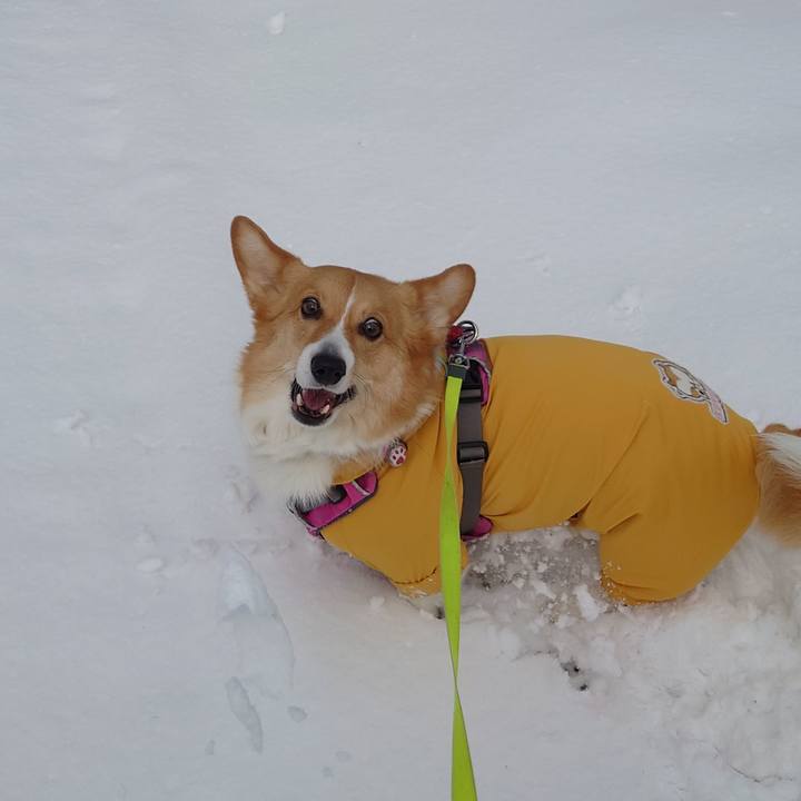 E17af05a 343a 47aa b436 c7f55eef98d3 1774069241497