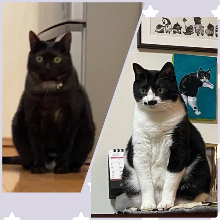 E17b0449 f8ba 4f40 877f 2c43fb9374ef 1641777806510