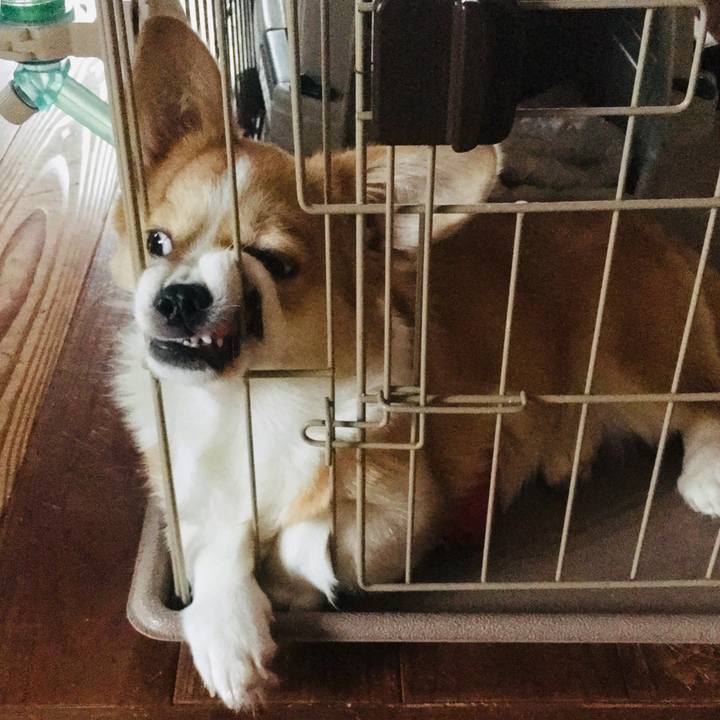 E17b0dcf 151b 4a0d 9699 86bef4bdf53a 1562832253128