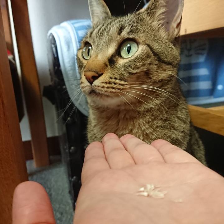 E17b0e6a 1871 4c75 8809 1073e08b95ac 1593308886323