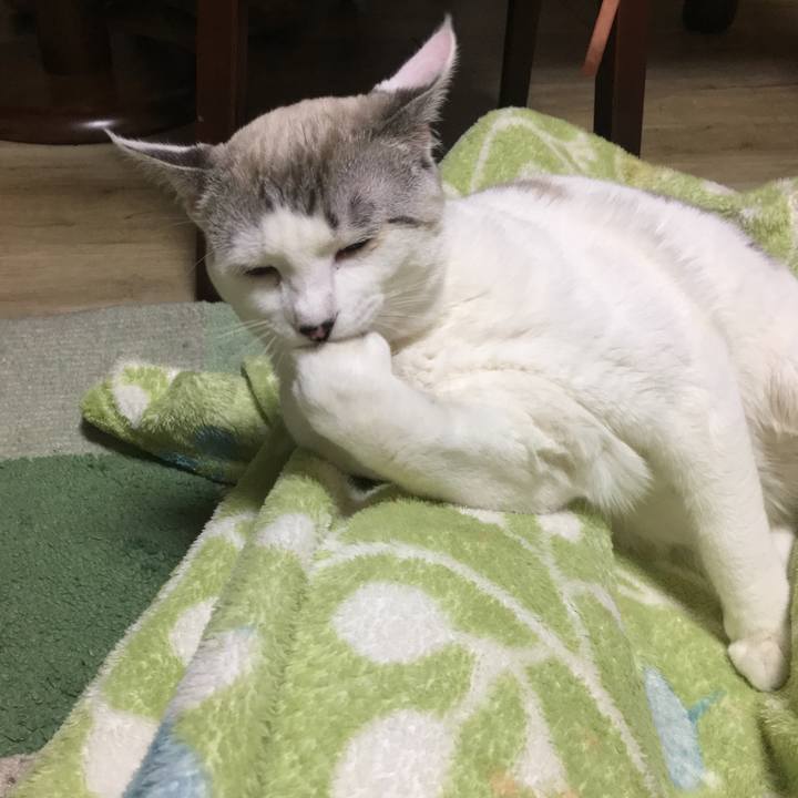 E17b2421 c349 4d5b ae35 4364a40888c1 1550065758613