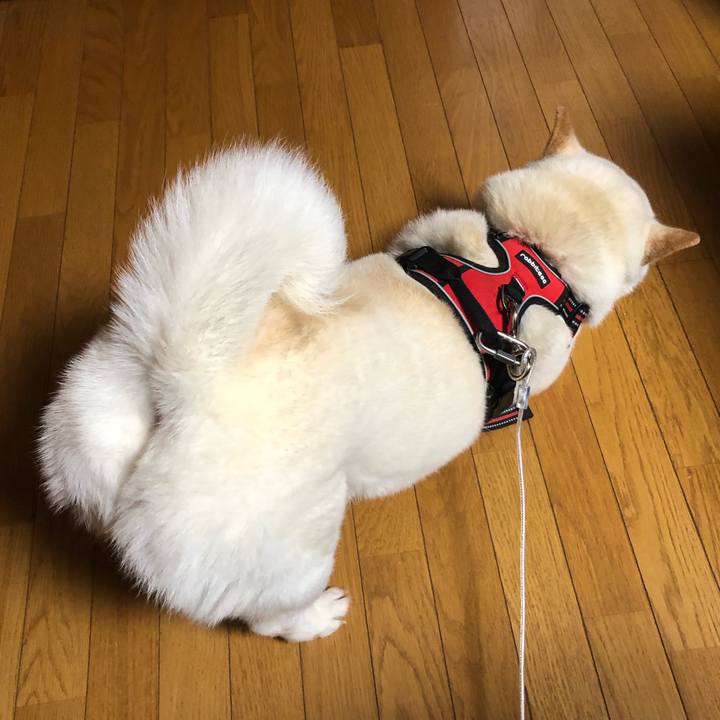 E17b9eb1 530d 4be7 9945 f7d5df9625bc 1609921850608