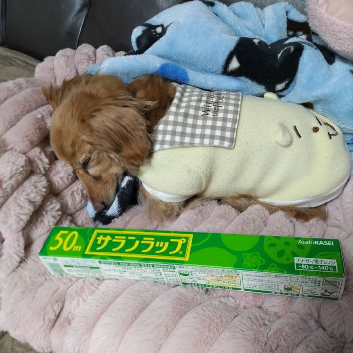 E17ba551 a66b 4c85 88e7 50759108810f 1675951305232