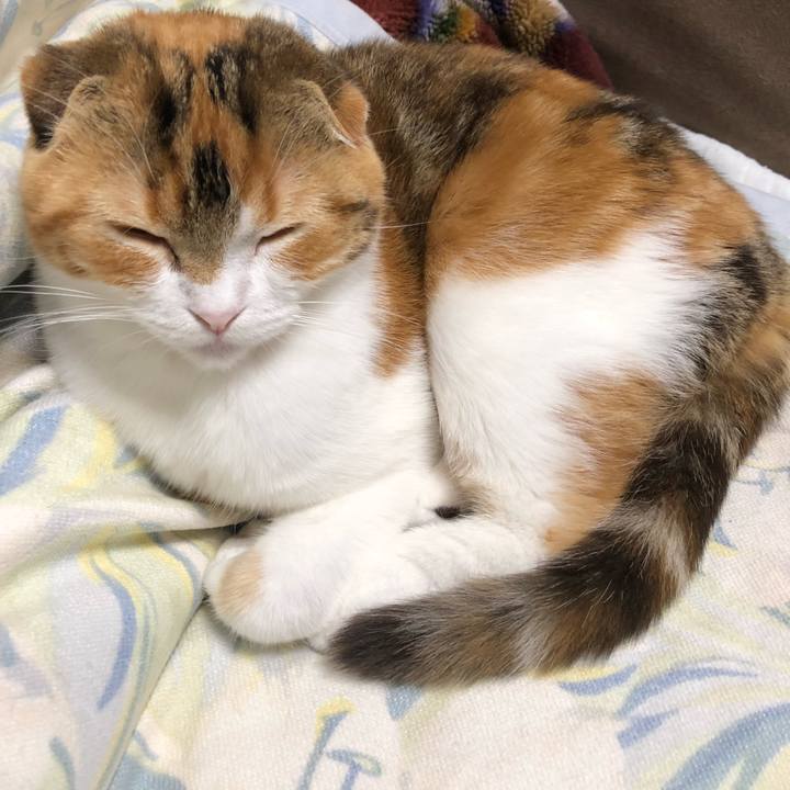 E17bcc7b 21e2 4f42 b628 bacbce86e27d 1519389926448