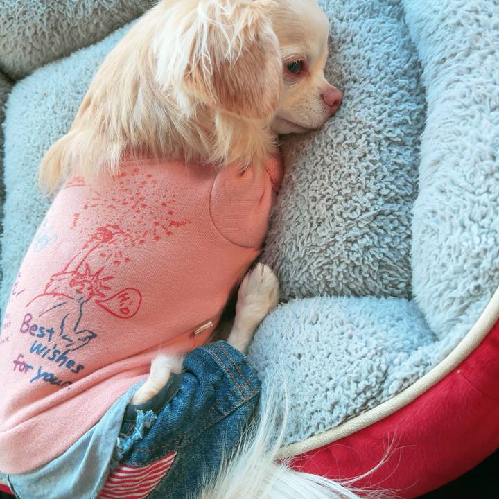 E17bcda5 3116 4fbe a650 1f75f75ef51f 1702194986880