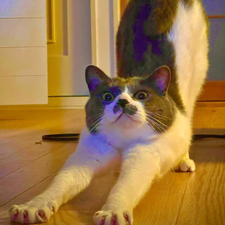 E17bd958 d9dd 452d b27b 624445de999f 1623836477327