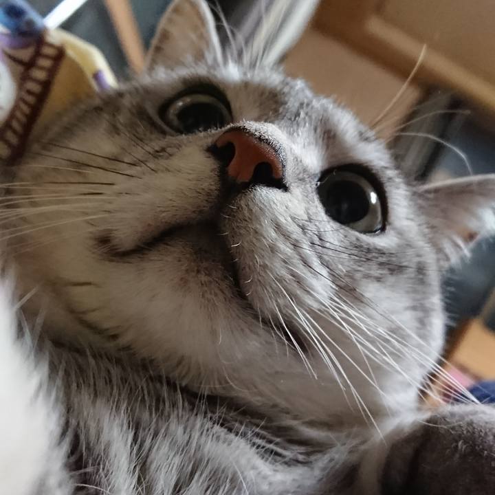 E17c0a70 93d0 4d28 8c8f c546e4b550b7 1544415005465