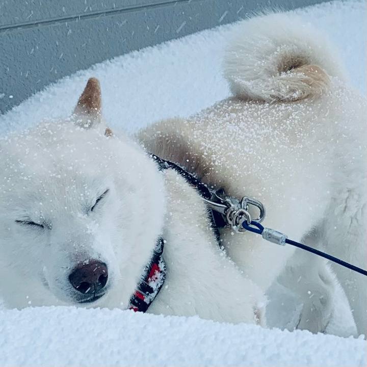 E17c3ceb aba2 4eee 82e9 05191e4c78ad 1642048562974