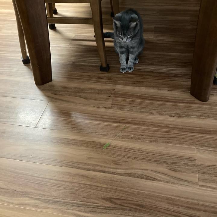 E17c71d0 cb78 44d3 b9d2 2d03e7f8f2ae 1662505184314